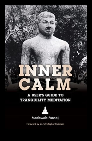 שקט פנימי דרך לבריאות נפשית עם מדיטציה 3 רוגע פנימי: דרך לבריאות נפשית עם מדיטציה