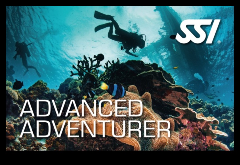 לגונת למידה: משחקים חינוכיים לפיתוח מיומנויות