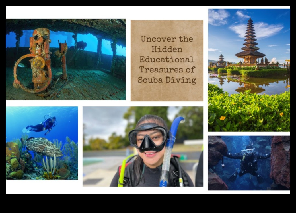 לגונת למידה: משחקים חינוכיים לפיתוח מיומנויות