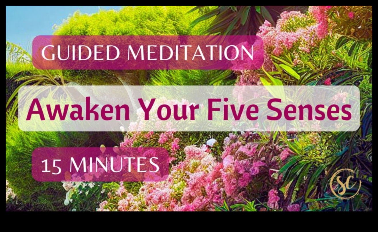 התעורר את החושים שלך: מיינדפולנס כשער לחיי היומיום