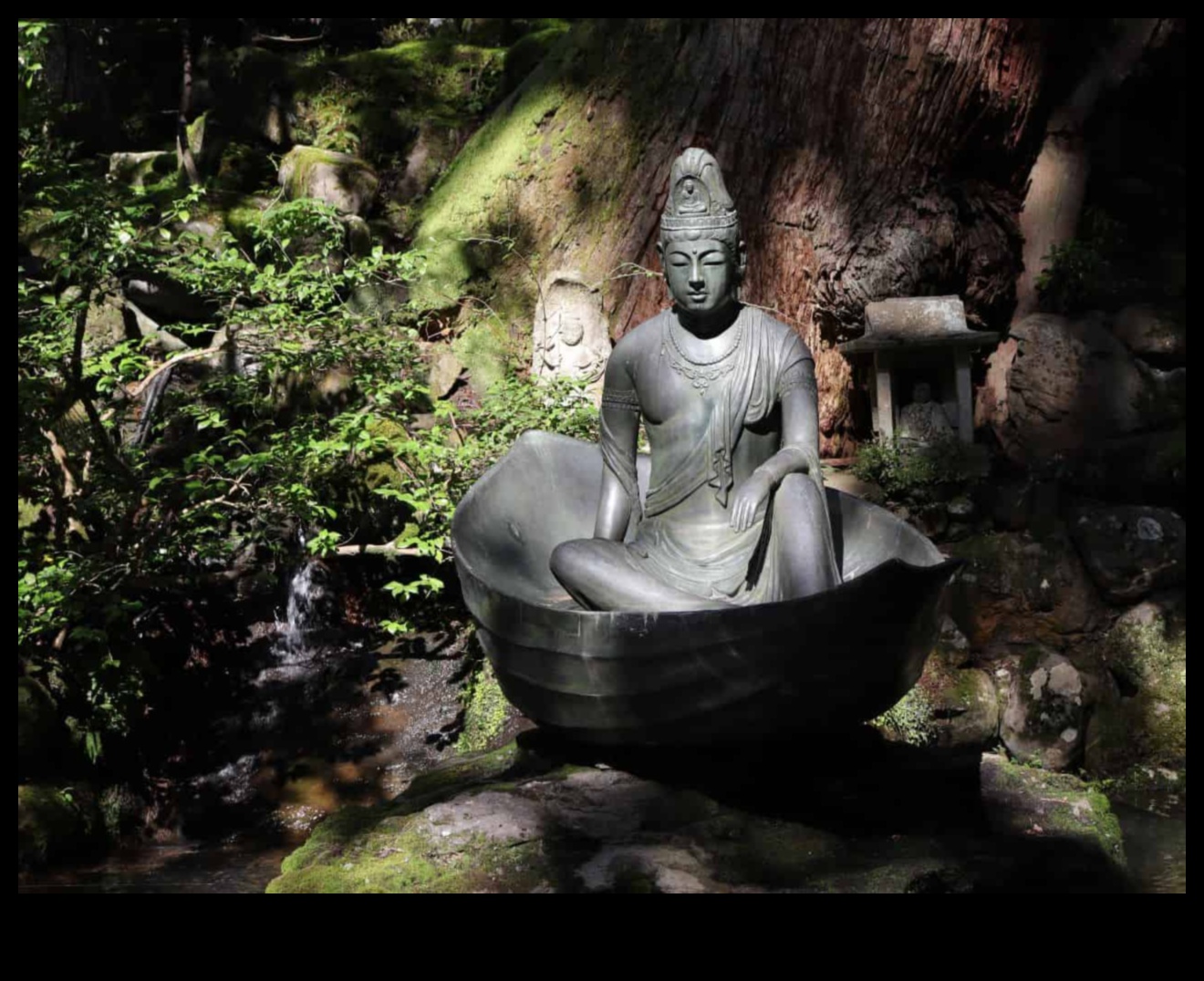 שקט נצחי: משלחת היסטורית למדיטציה