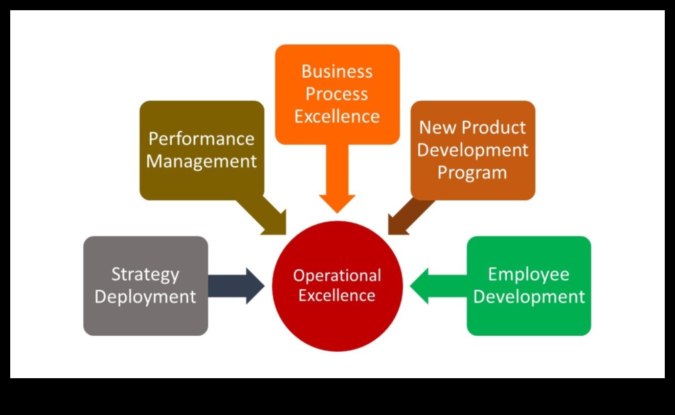 מצוינות תהליכית: שחרור כוחן של פעולות עסקיות אסטרטגיות