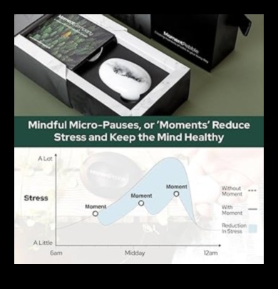 רגעי מדיטציה 30 שניות בריחה להפגת מתח 5 רגעי מדיטציה: בריחה יומית להפגת מתחים