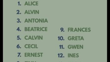 אוצרות שנבדקו בזמן: שמות תינוקות קלאסיים שמחזיקים מעמד