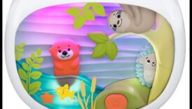 מרגיע אור כוכבים: מנחה את תינוקך לתרדמה עדינה