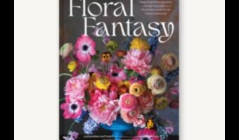 פנטזיה פרחונית: עצות מתנה בוטניות ליום האהבה הפורח