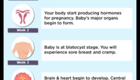 Tender Tootsies: הנעלה מקסימה לצעדים הראשונים של התינוק