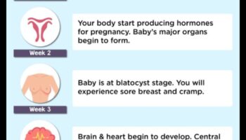 Tender Tootsies: הנעלה מקסימה לצעדים הראשונים של התינוק