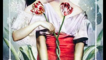 רגעים מיסטיים: מסע דרך המדיטציה ההיסטורית